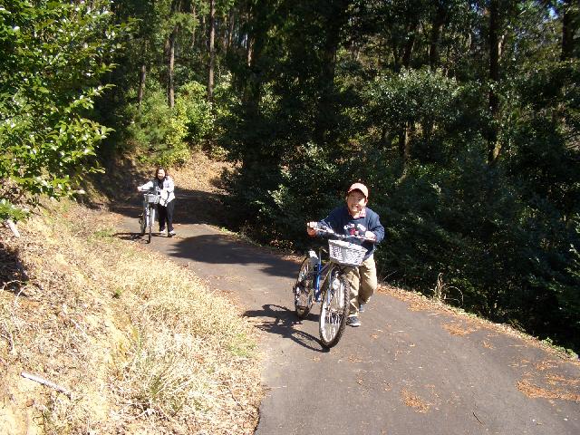 �L�c�ΔȌ����A���o��